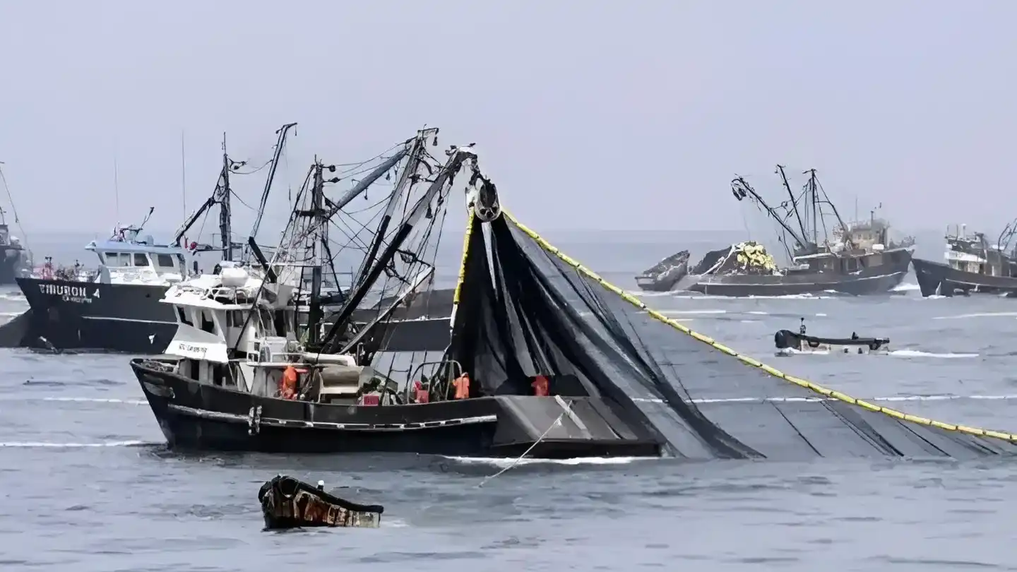 El Congreso argentino sancionó la Ley Nº27.815, ratificando el Acuerdo internacional contra la pesca ilegal.