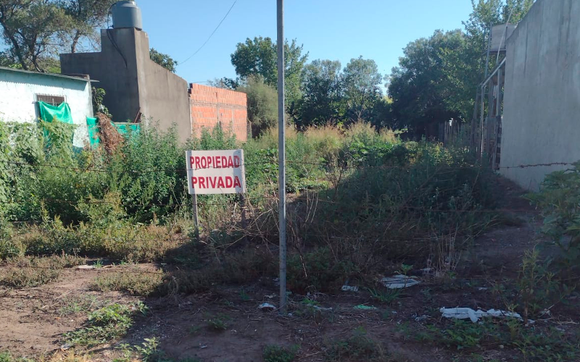 Castro: ¿podrán limpiar el terreno?