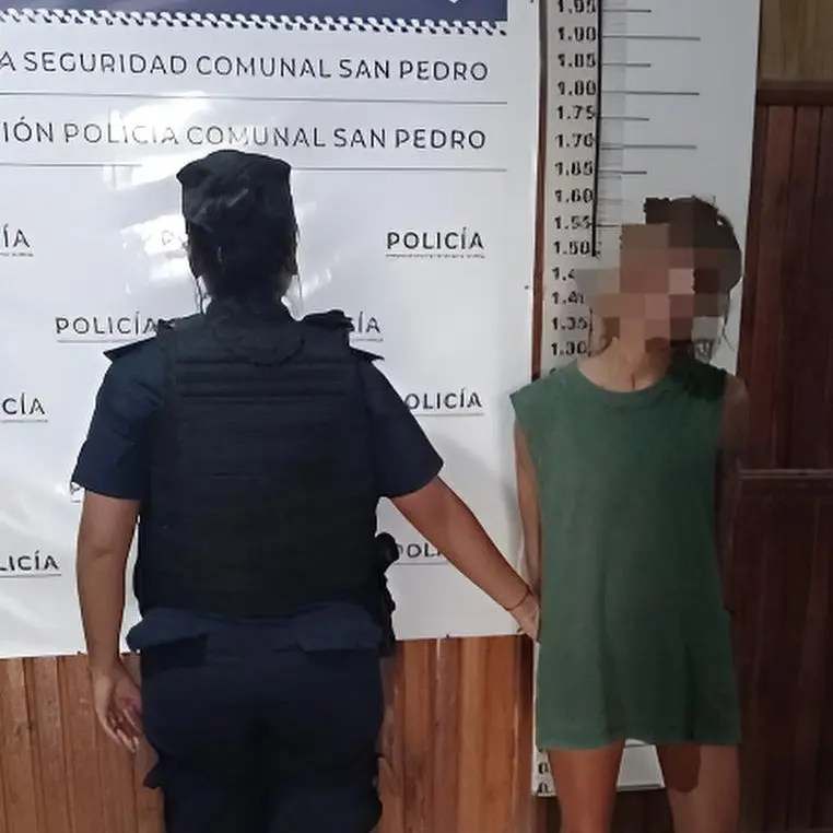 La mujer fue liberada tras ser imputada por el delito de hurto.