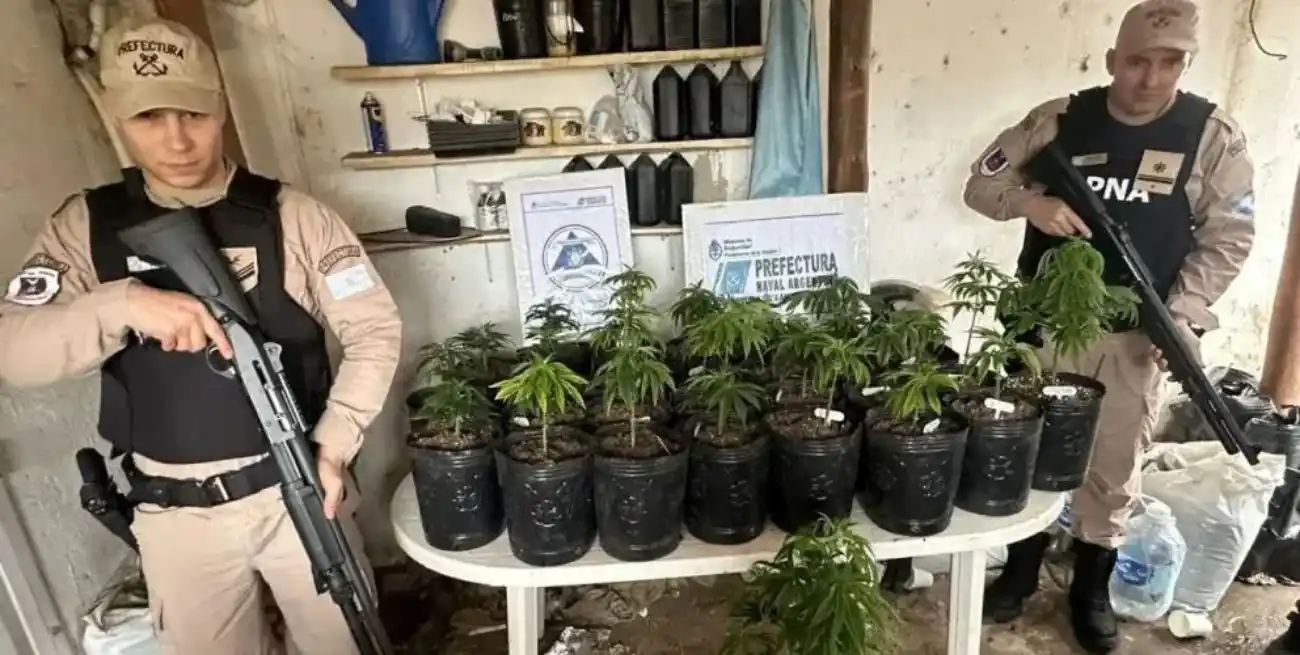 La droga estaba seccionada y lista para vender, y también se hallaron plantas y semillas de cannabis.