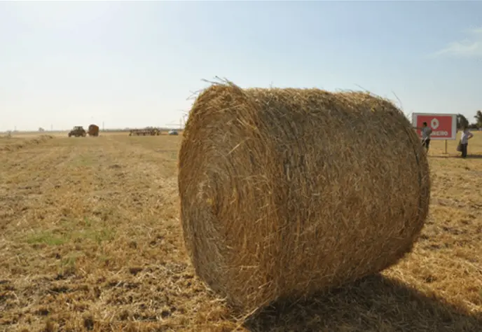 Sensores remotos para monitorear la producción forrajera en áreas serranas