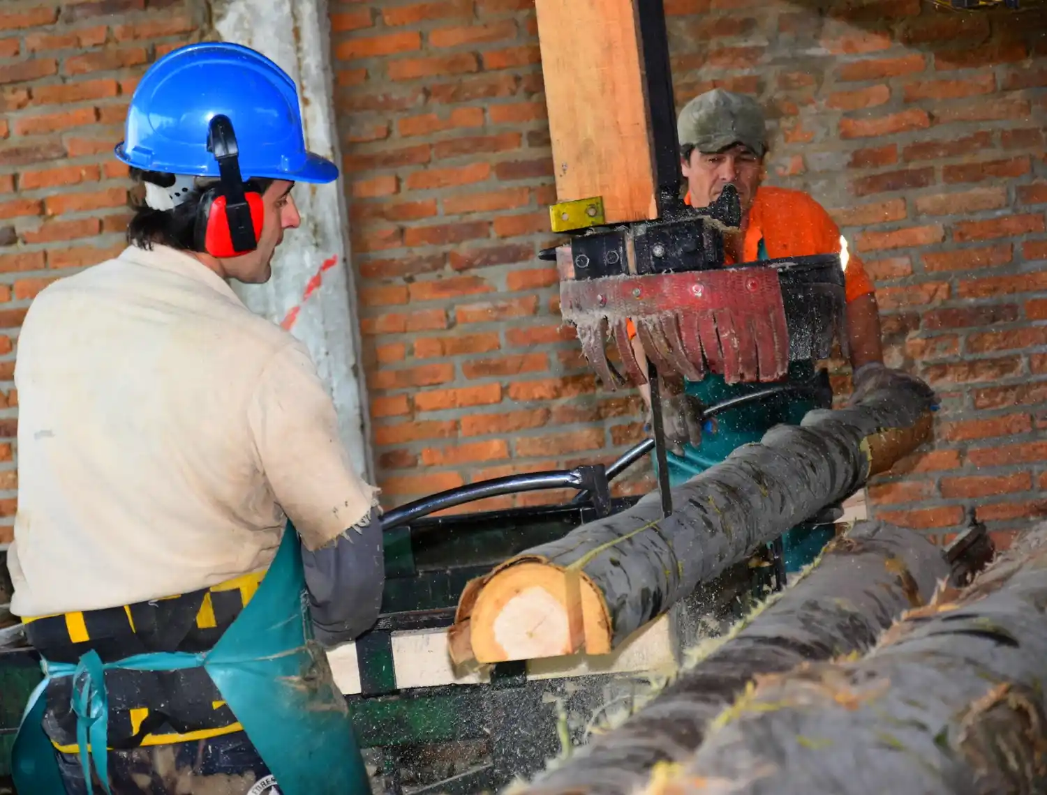 Expo Vivienda y Foresto Industria 2023