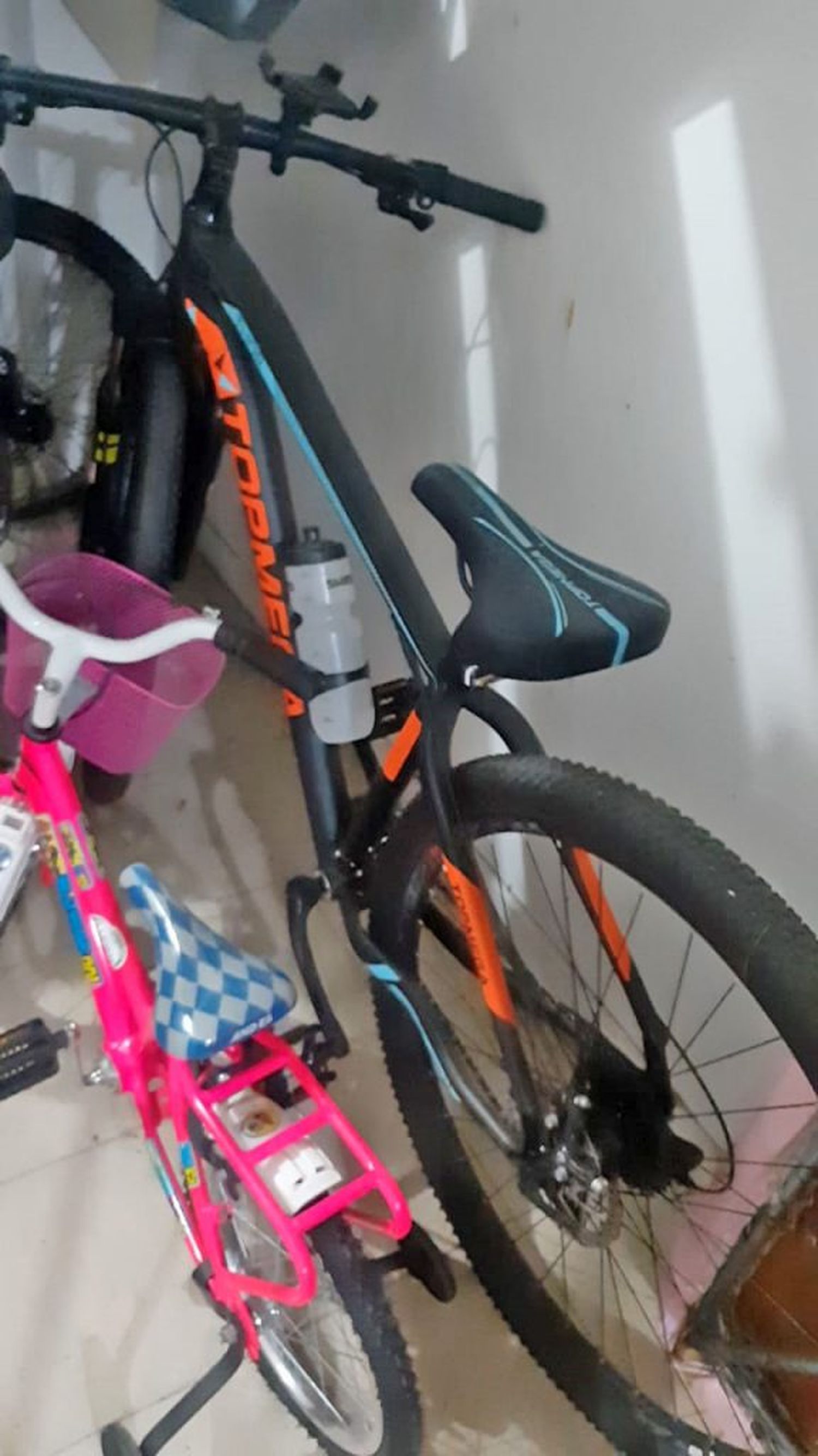 Le robaron la bicicleta del interior de su casa y quedó todo registrado en las cámaras