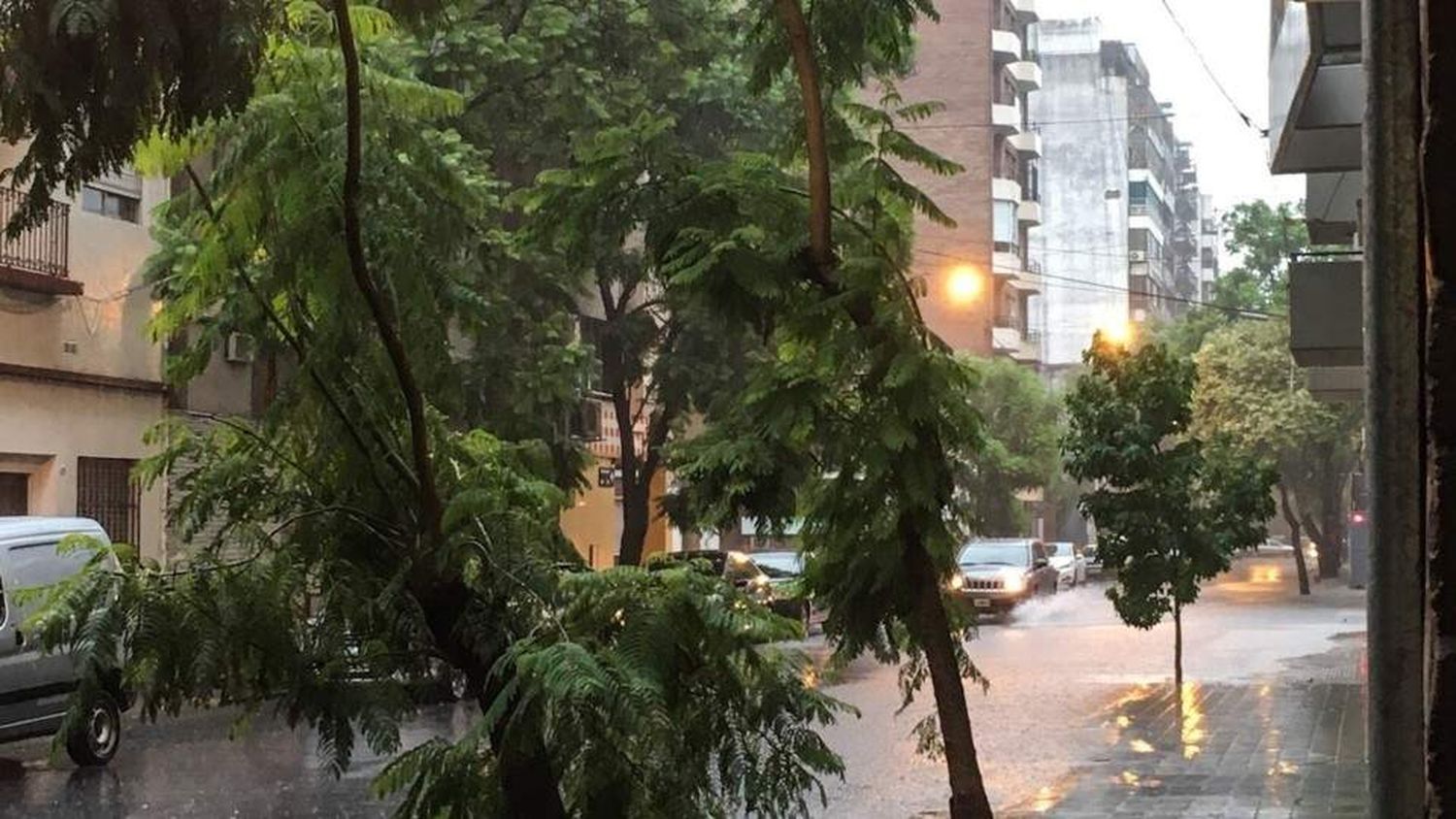 Fuerte tormenta en Rosario: se cayeron al menos cinco árboles y dos columnas