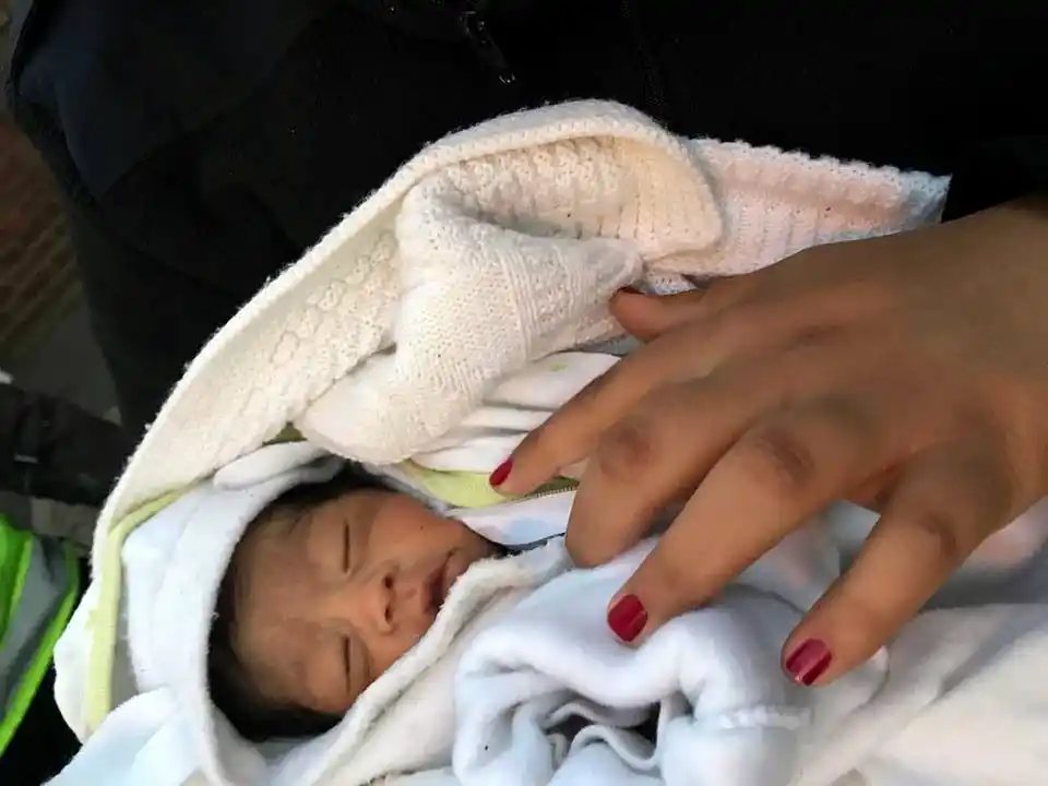 Emocionante: Un perro encontró un bebé recién nacido que había sido abandonado en Olivos
