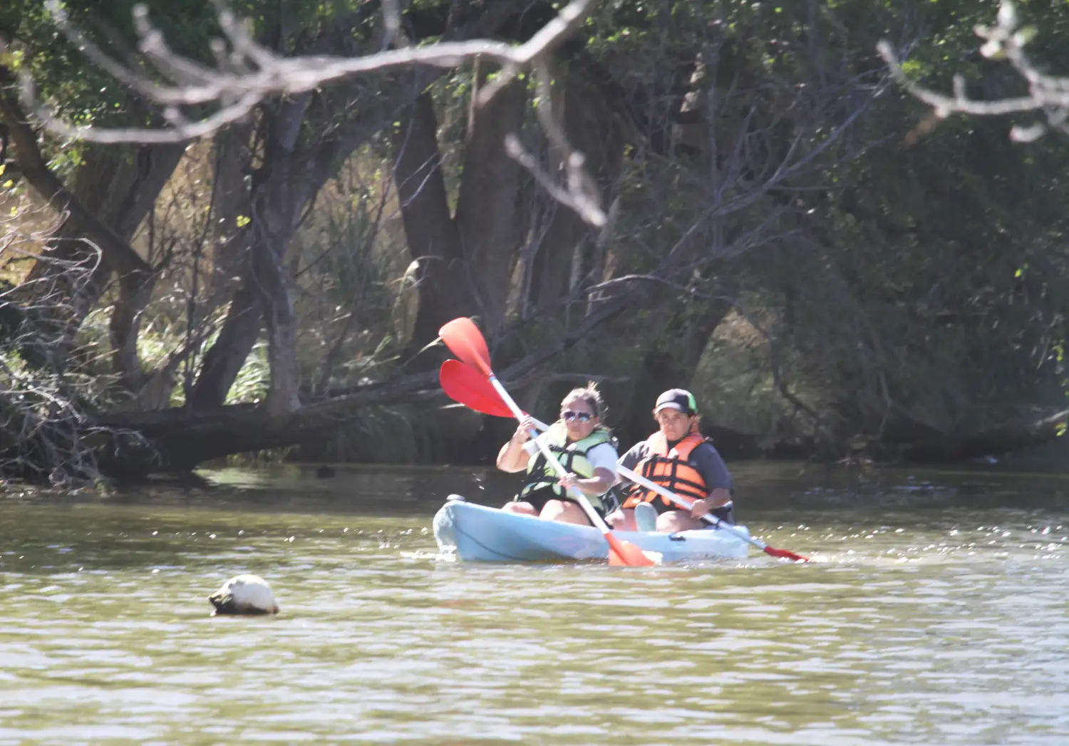 canoa