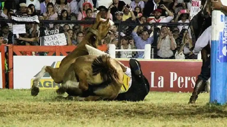 Video: Tremendo accidente de un jinete entrerriano en Jesús María