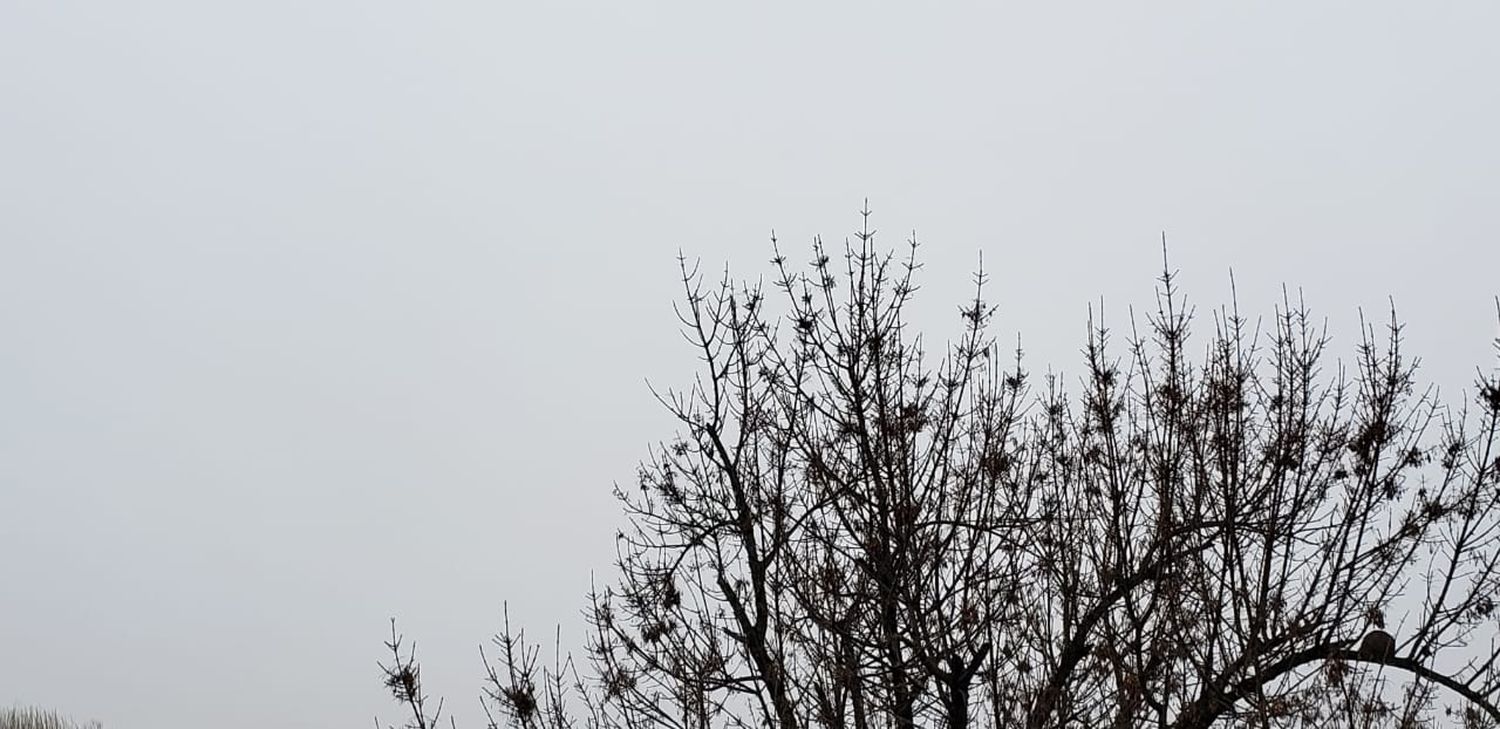 Advierten sobre probables tormentas fuertes y la llegada de un frente frío