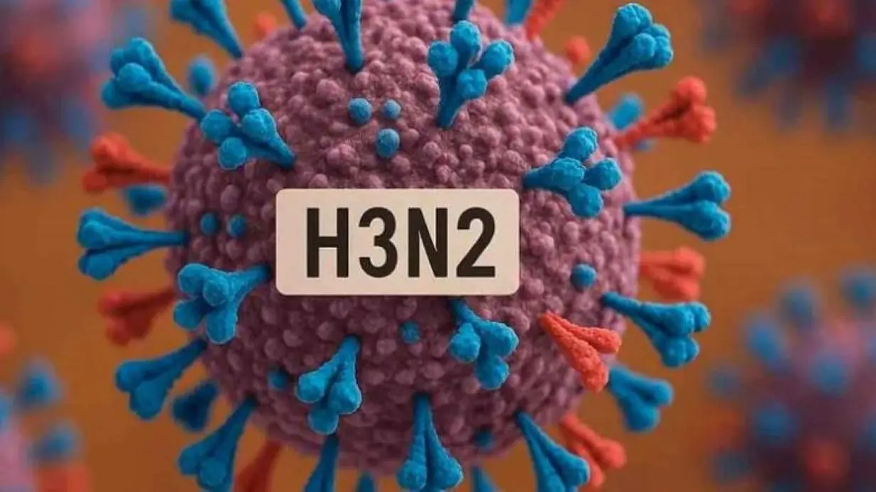 Imagen ilustrativa del virus