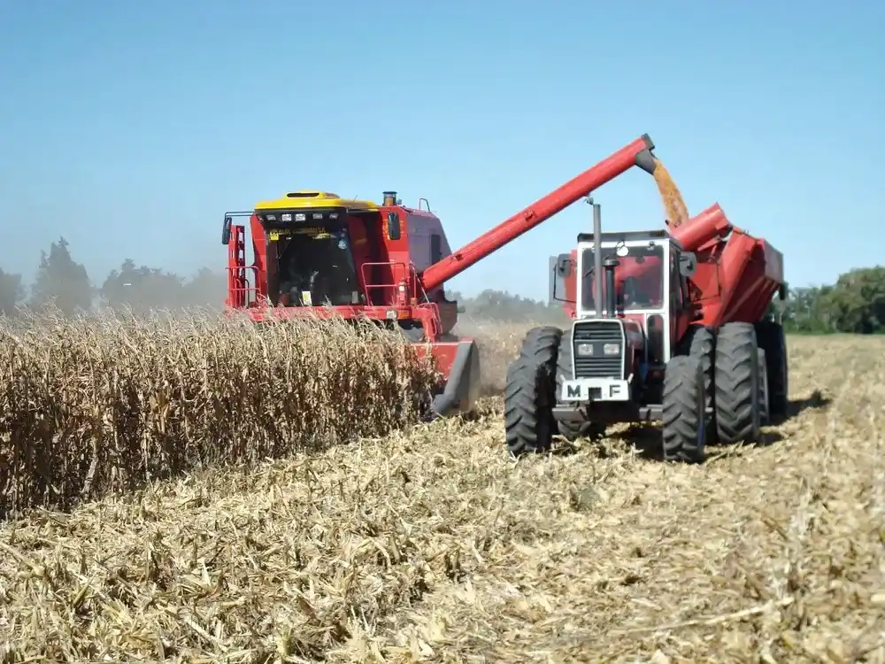 Buena señal: el complejo agroexportador liquidó divisas por US$ 1.850 millones en enero