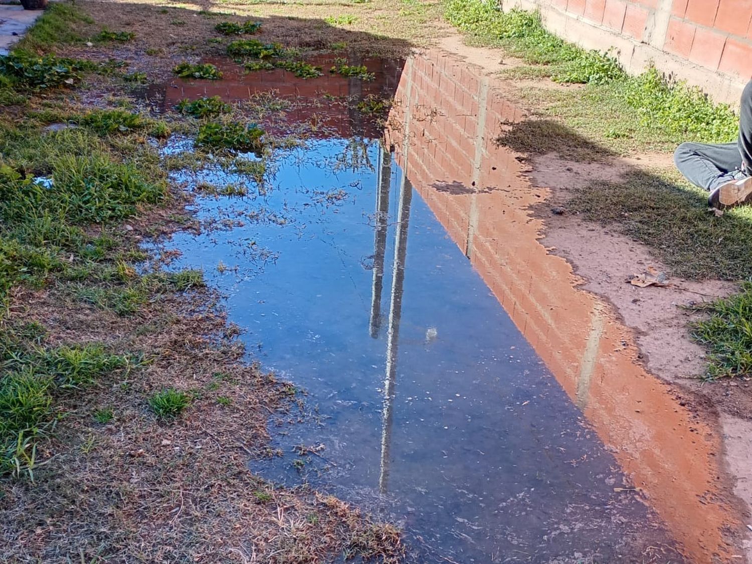 Cloacas rebalsadas en Liniers 2300