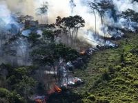 Brasil registra récord histórico de incendios forestales en 2024