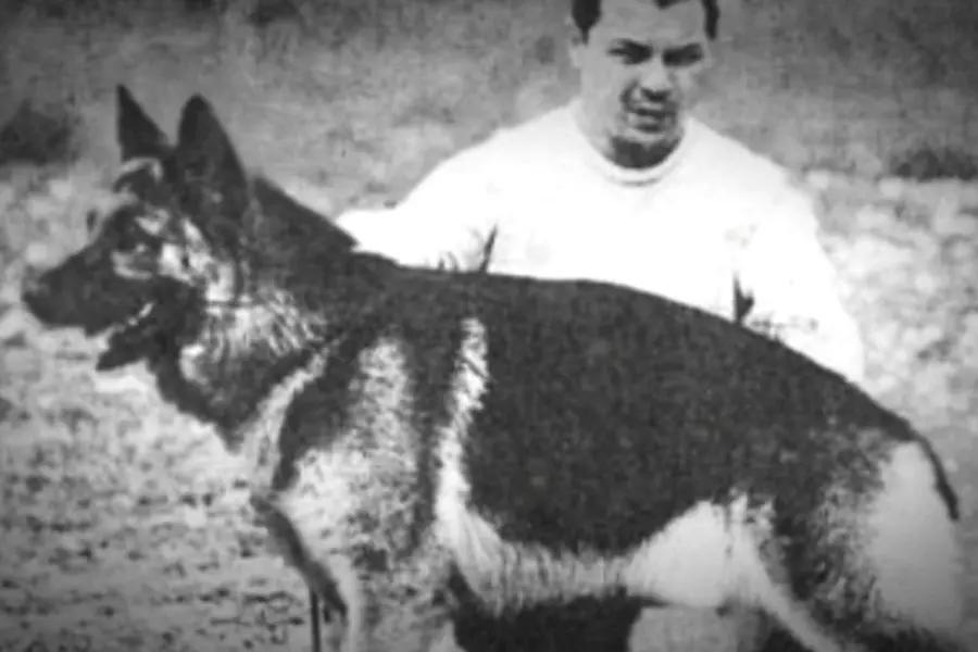 Hoy es el día del perro en Agentina