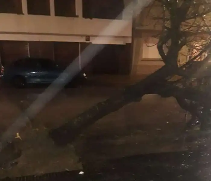 Temporal