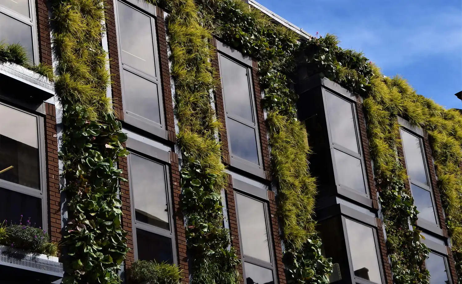 Oficializan la creación de un programa para promover edificios sostenibles en el sector público