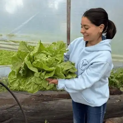 La horticultura requiere soluciones productivas que no comprometan el ambiente. Foto: Prensa UNMdP