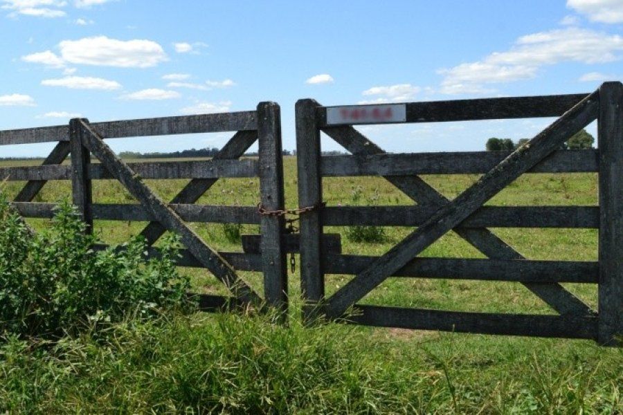 ¿Homicidio en defensa propia? Mató a un hombre de un escopetazo en un campo en circunstancias poco claras