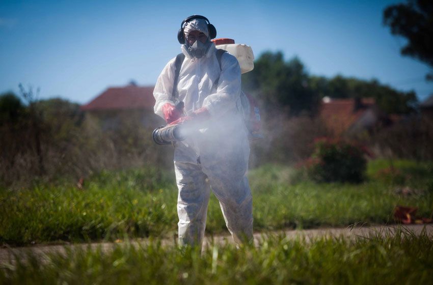Dengue: "Esta alternancia de frío y calor favorece su reproducción"