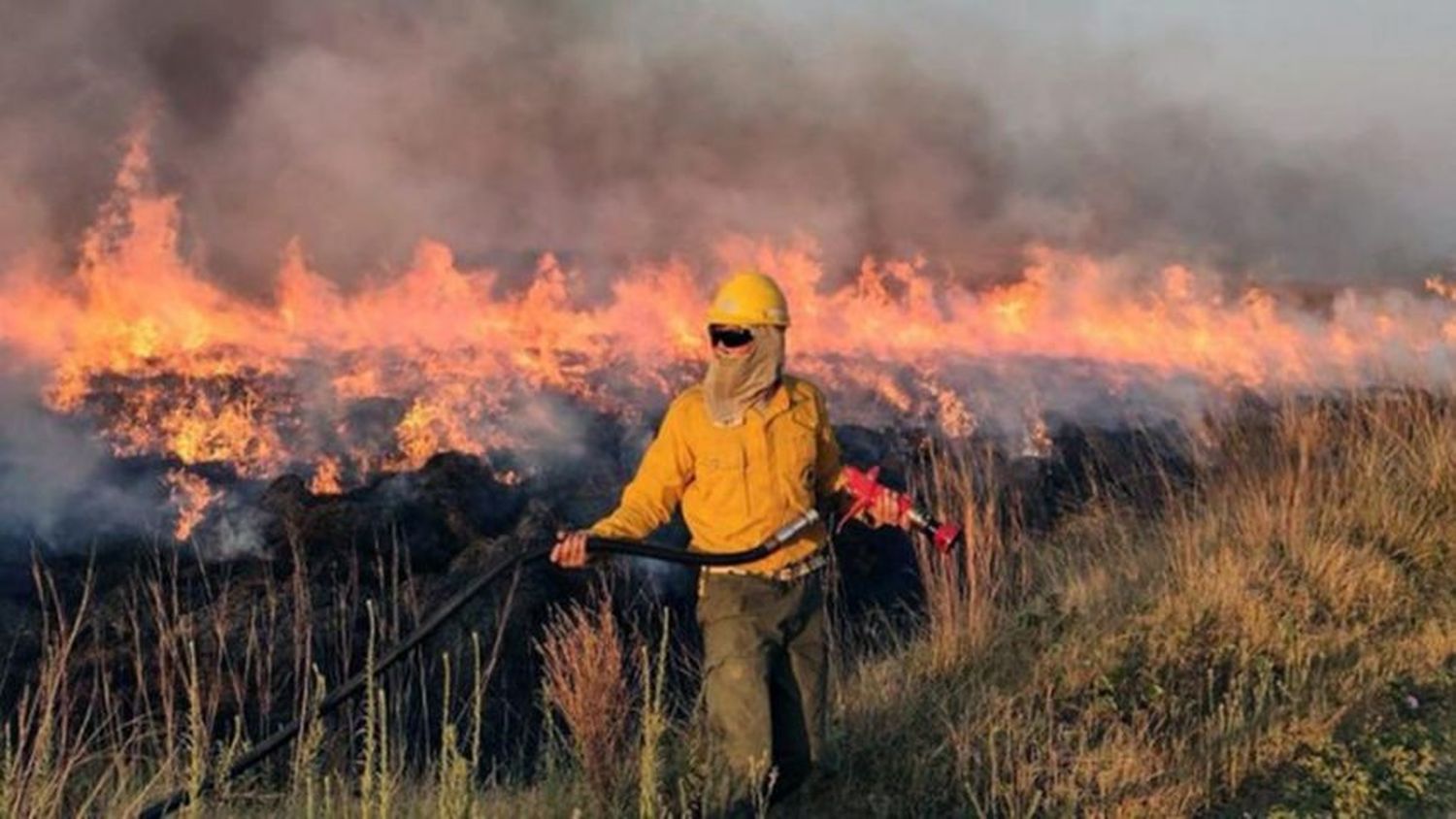 El municipio capitalino se suma a la campaña solidaria por los incendios en Corrientes