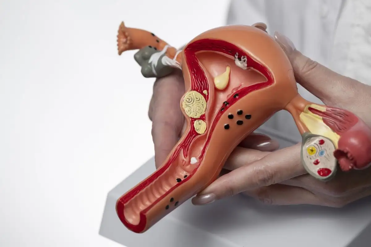 Día Mundial de la Prevención del Cáncer de Cuello Uterino: realizarán PAP gratuitos y sin turno en dos centros de salud