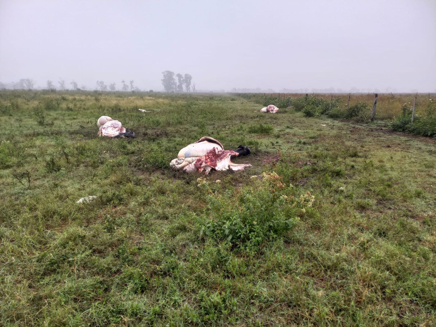 Preocupan hechos de en la zona limítrofe entre Santa Fe y Córdoba (Archivo).