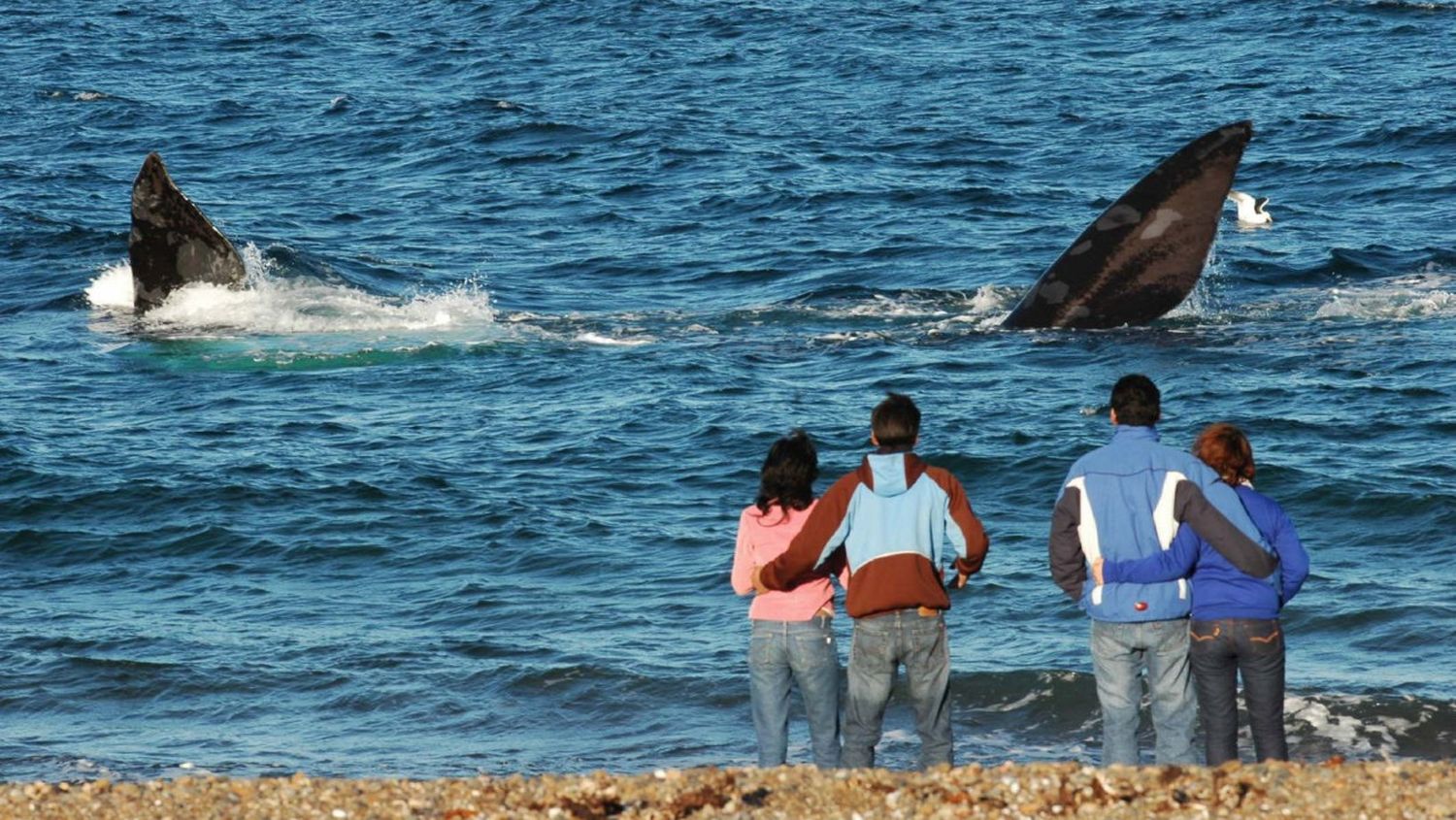 Vacaciones de invierno: seis de cada diez argentinos gastará menos que el año pasado