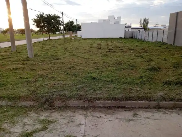 Mantenimiento urbano:  cuadrillas municipales realizaron operativo de limpieza y desmalezado