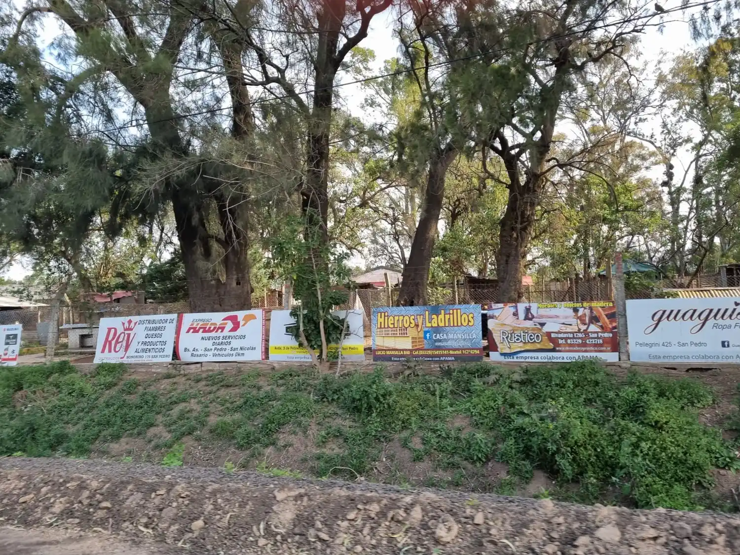 Hay una campaña de socios y recaudación para la compra de alimentos para los perros abandonados que están en adopción.