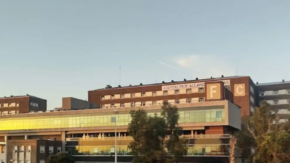 Hospital Nacional Profesor Alejandro Posadas (Google Maps)