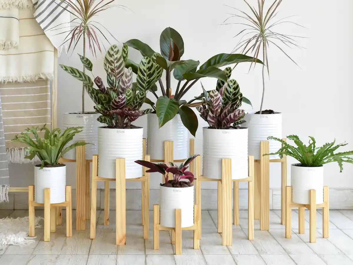 Macetas recicladas, el boom  de la decoración en la ciudad 