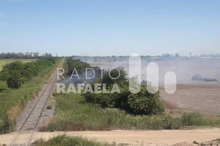 Altas temperaturas: incendio de pastizales en plena tarde