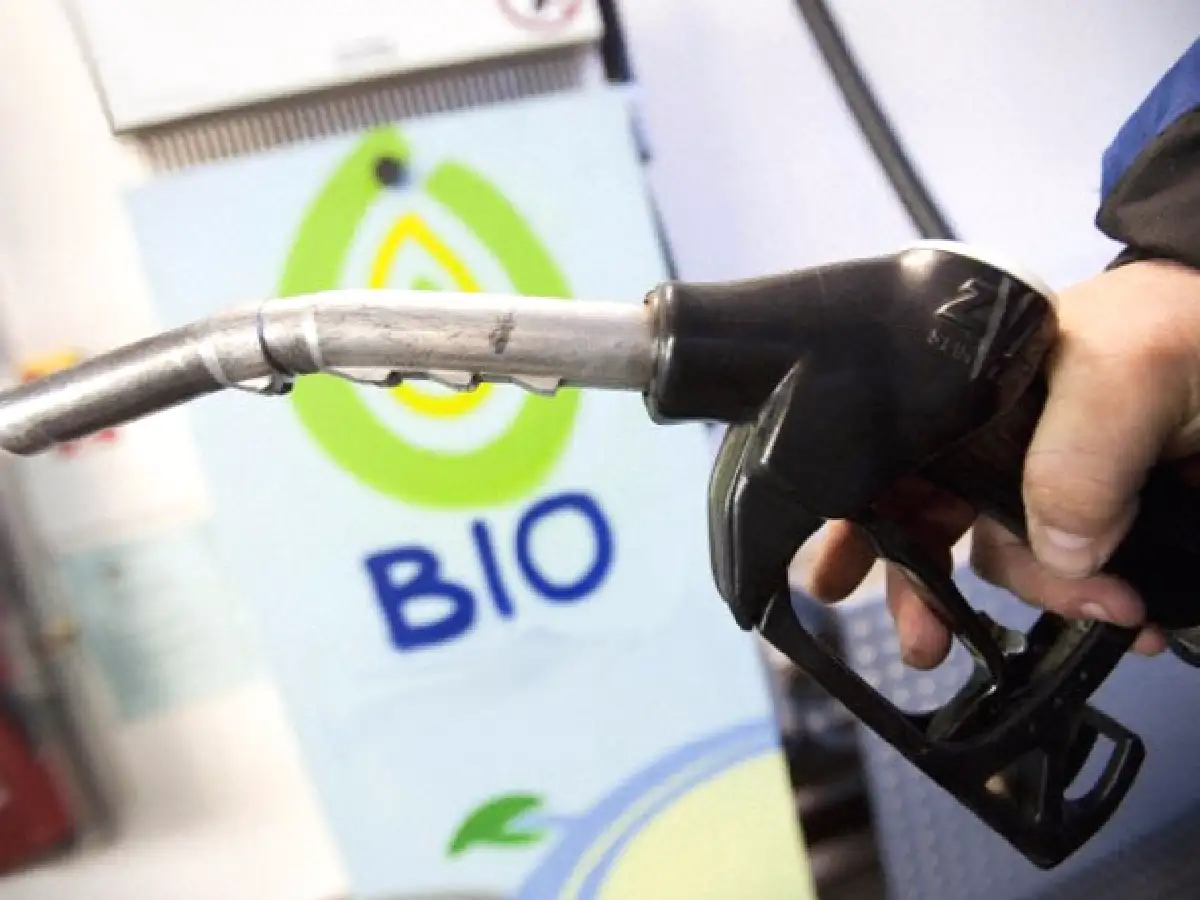 Abrir panorama para el biodiesel