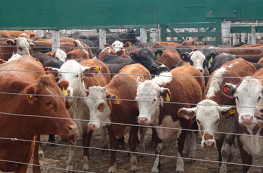 El campo no volverá a extender el paro pero la relación con el gobierno sigue tensa