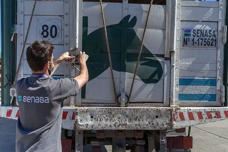 SENASA implementó un nuevo sistema de acreditaciones para veterinarios, técnicos, inspectores sanitarios, vacunadores y otros operadores