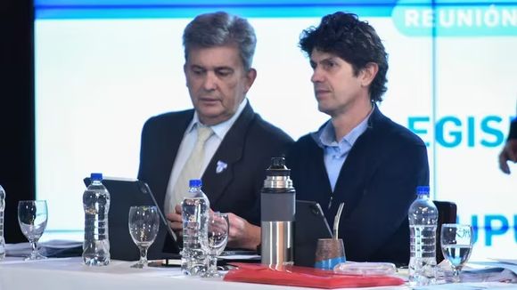Con apoyo del kirchnerismo, Lousteau se quedó con la Bicameral de Inteligencia