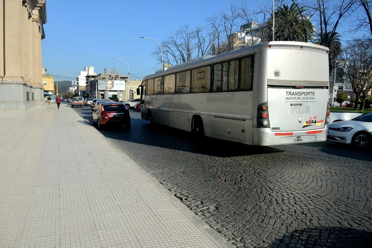 colectivo azucena