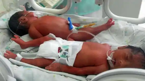 Alemania reconocerá a un tercer género: indeterminados