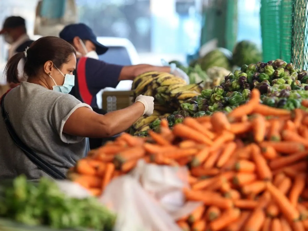 ALARMA: se perdieron 20 millones de kilos de alimentos por falta de gasoil
