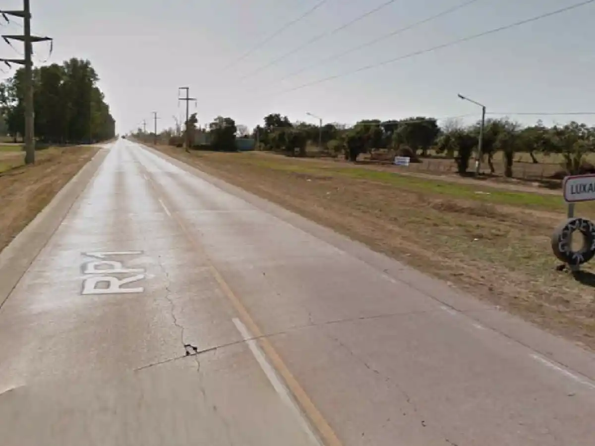 Un colectivo  chocó con una vaca y se accidentó en la ruta provincial 1