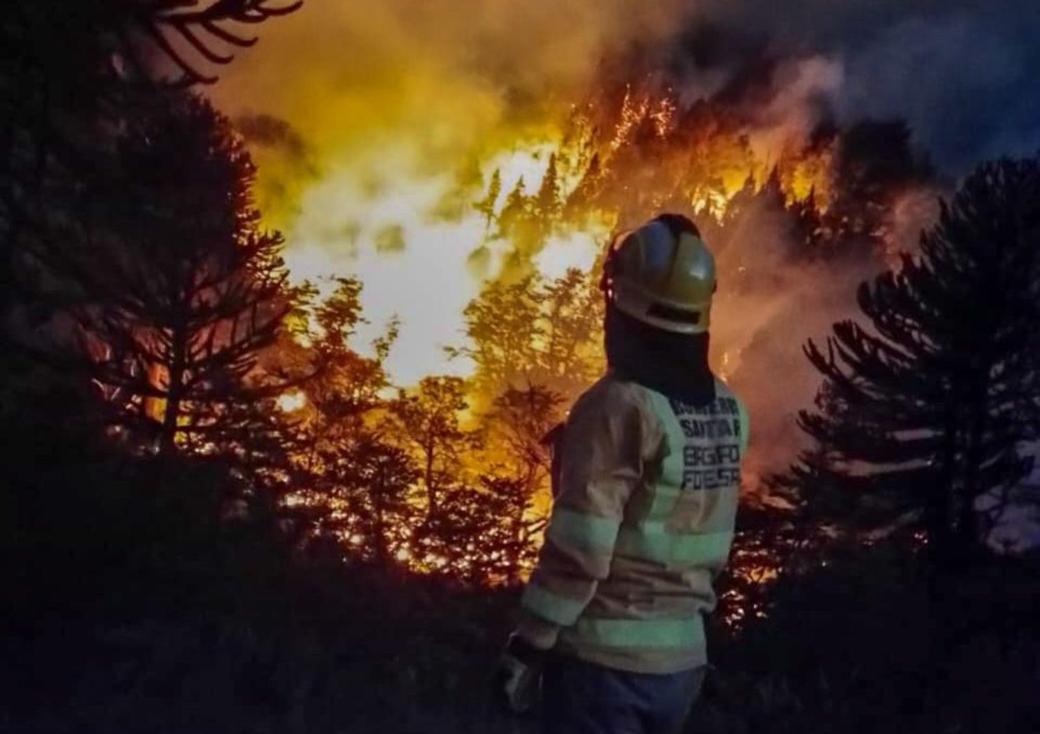 Brigadistas santafesinos continúan combatiendo los incendios en la Patagonia