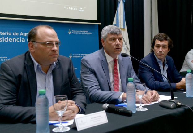 Confirman la campaña de trigo más grande de la historia