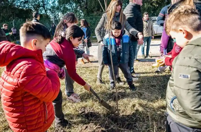 Plan Forestar: durante el año se plantaron más de 1300 árboles en Mar del Plata