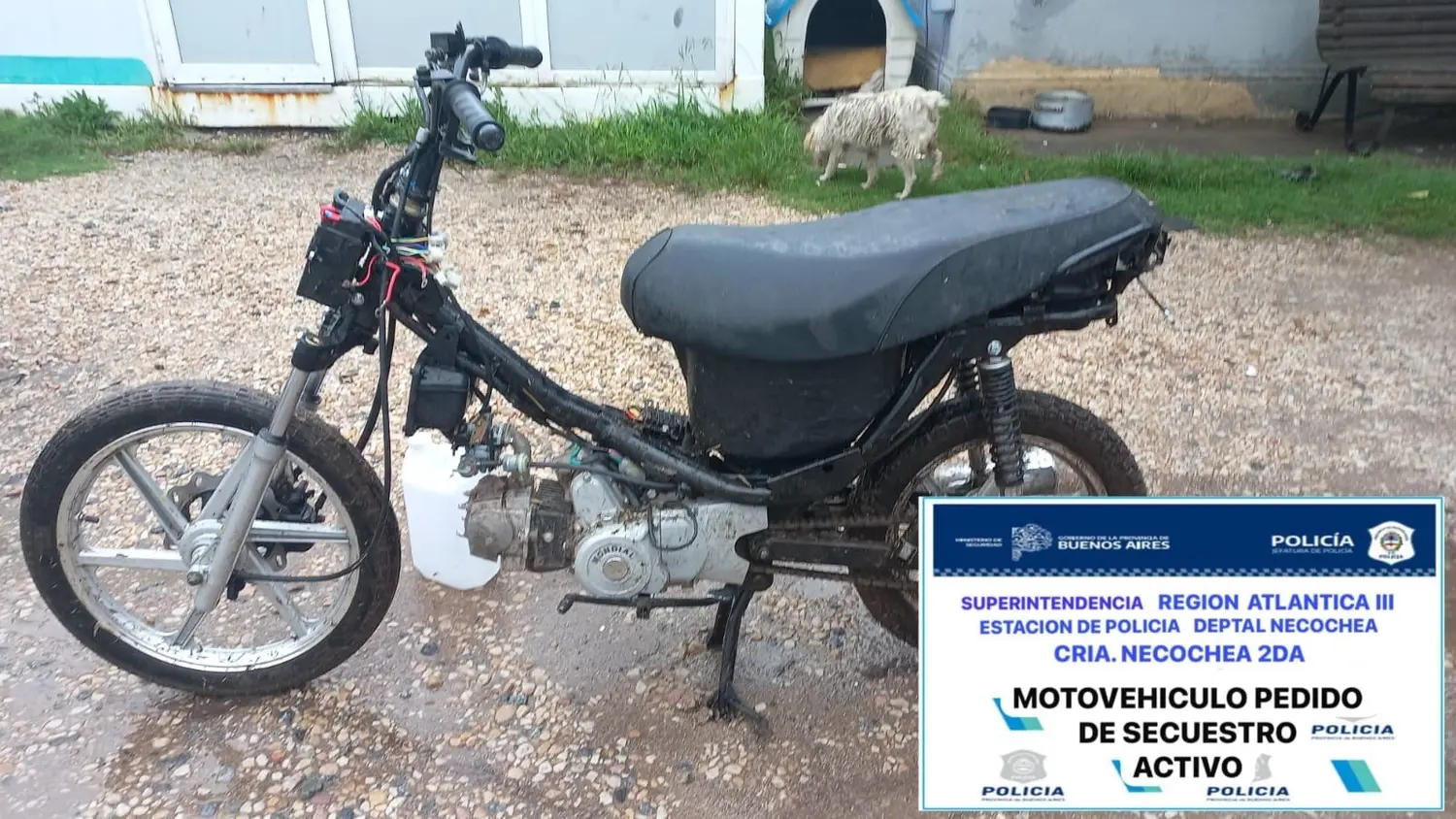 Rodado. Fue sustraído hace 4 días en Necochea y se lo recuperó ayer en un sector de Quequén