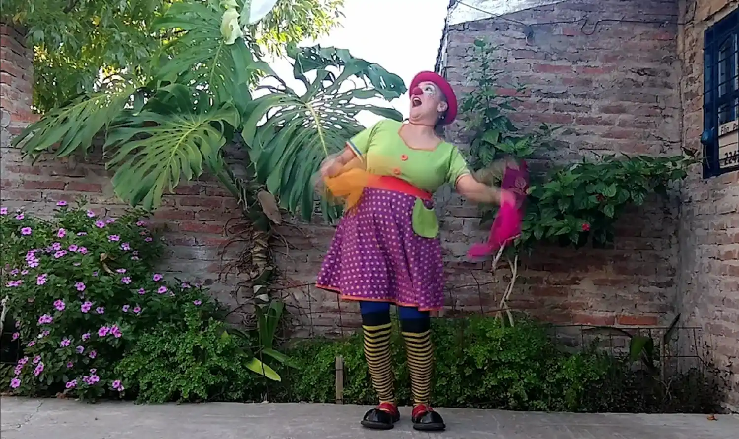 Entre Ríos en el Programa Nacional Cultura Argentina en Casa