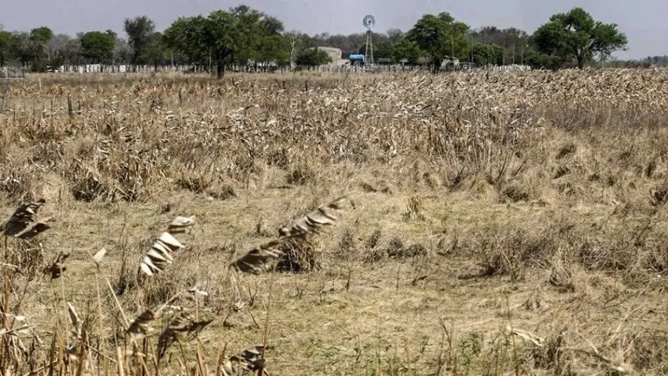 Asociación de Productores Frutihortícolas de General Pueyrredón: "la emergencia agropecuaria es una burla"