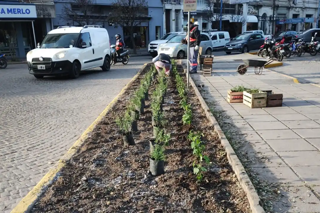 Mantenimiento Urbano