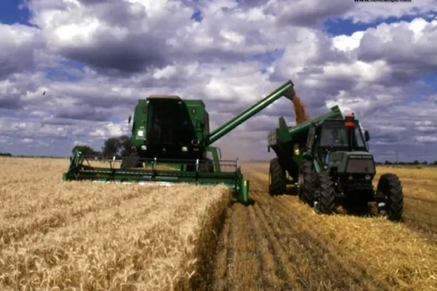 En Santa Fe confían en una revisión de las medidas para el agro anunciadas por el Gobierno nacional