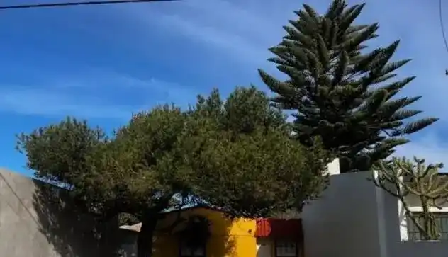 Necochea
