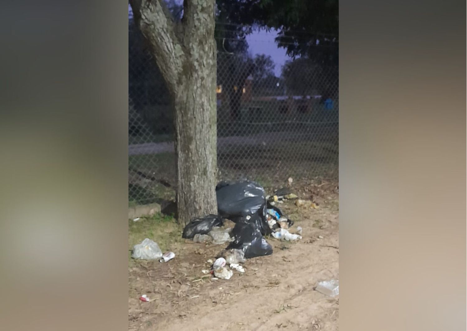 Bolsas de basura en la costanera