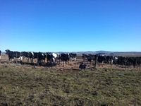 El sector rural, entre la falta de medidas nacionales y la presión de las tasas locales